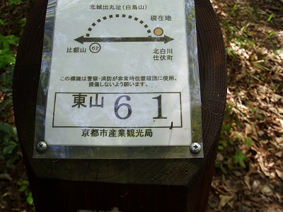 2007/04/29 10:28:13 