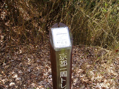 2007/04/29 11:03:34 