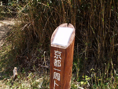 2007/04/29 11:24:13 