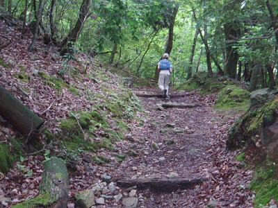 薬王坂へはつづら折れの道を登ります。
