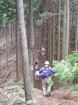 アップダウンのある坂道を下っていきます。