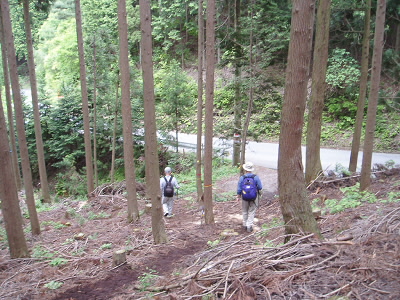 急な坂道を下って477号線にでました。