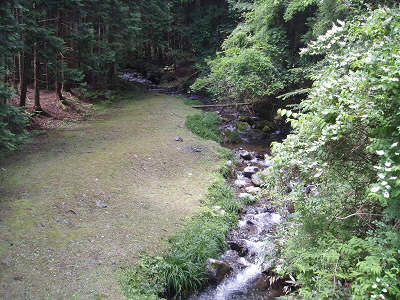 花背峠からの府道38号線との合流地点。
ここまでくればもう少し。