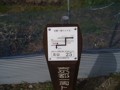 2007/06/17 09:17:46 