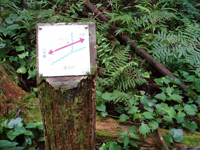 2007/07/01 08:47:30 