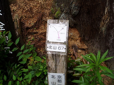 2007/07/01 10:01:44 