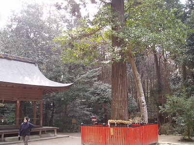 出発は10:00なので、それまで周辺を散策