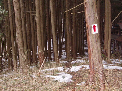 叡電のハイクも矢印が貼られています。