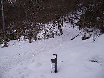 トレイルの道標が雪に埋もれてしまっています。