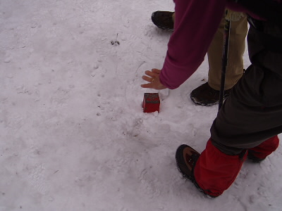 このあたりに三角点があります。
でも、雪の下。