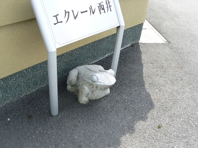 ここにも、東門院の蛙像がある。
ひょっとしたら、信楽の狸と二大勢力かも。