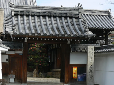 蓮照寺。
お寺回りみたいになってきました。
