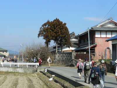 ここら駅まで畑の間を延々と歩くことになった。