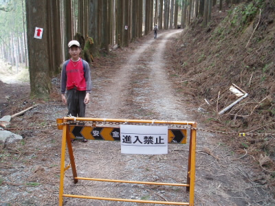 鞍馬尾根
２００回の特別ということで、特別に鞍馬尾根へ入山です。受付で愛山費を払っているので、鞍馬寺へ入れます。
尾根道は所々、山つつじが咲いており、新緑の中で映えていました

