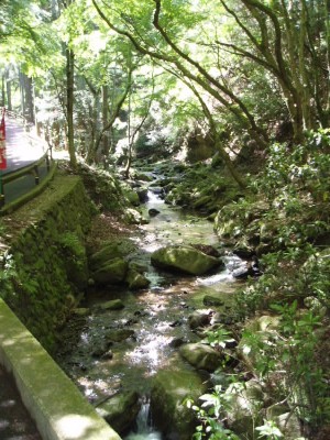 桜の馬場までは川沿いに登るので清涼感がある場所もあります。
