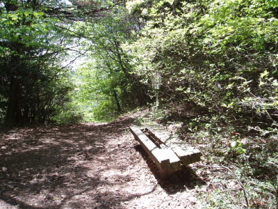 ベンチもあるので時間によってはここで昼食です。