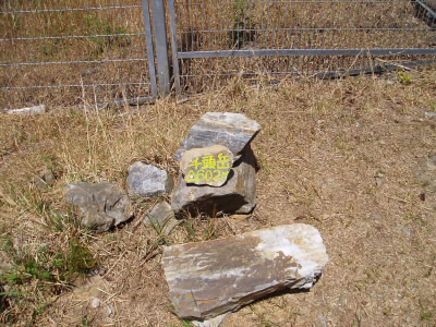 これもこの目印がないとわからない