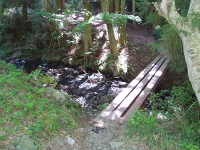 桜の馬場にかかる橋で、向こうから来た感じになります。