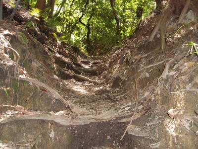 きらら坂はしばらく、こんな道があり、また、コンクリートの水路などで歩きにくく、閉口します。
この道を抜けると、尾根道になり、下の川からの水音が聞こえて、心地よく歩ける道になります。

