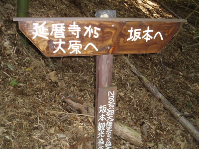 整備されていないのか、道には大小の石があります。
この辺から、GPSを頼り歩いていると、地図とずれてきます。しかし、分岐しているようなところもありませんでしたし、道もしっかりついていたので、地図は信用せずに進みました。
