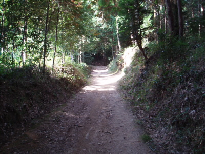飯道寺の横に神社があり、りっぱな樹木が、ありました。なんでも、寺側の一本が折れて、飯道寺のお堂を直撃して、壊したこともあるそうです。
この先で、田んぼの道をすすみ、農道の上を通る橋をすすみ、獣よけの門を開けて、山道へと入っていきます。