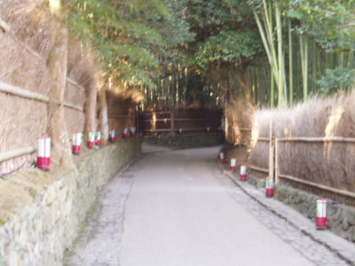 ○嵯峨の野の宮バス停付近
JR嵯峨嵐山駅で下車、野の宮バス停から清滝へ。
