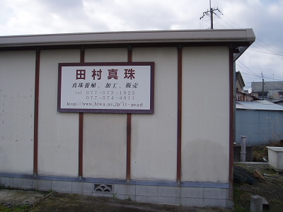 田崎真珠ではなく、田村真珠。
ここは琵琶湖なので、淡水真珠の生産。