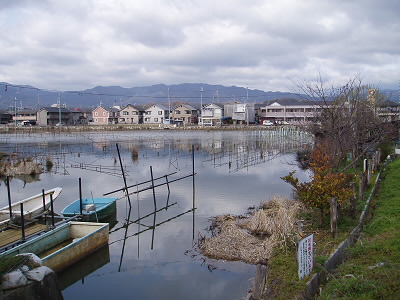 たぶんここで、養殖をしていると思われる。