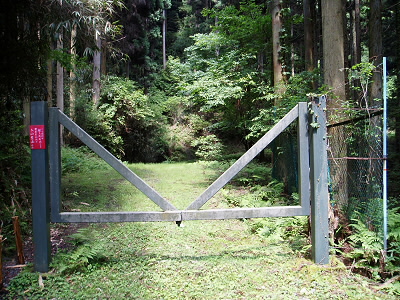 ここから林道に入ります。