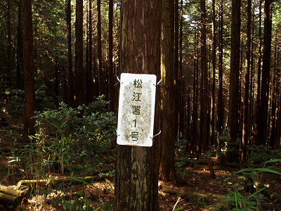 警察署か、松江署って京都にあったけと思っていると。