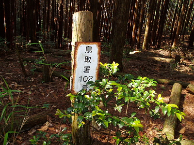 警察署か、松江署って京都にあったけと思っていると、鳥取署は　絶対にない。
なんだ、この標識は？