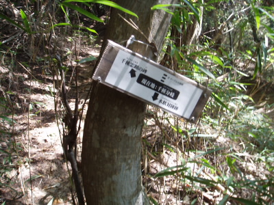 メインルートからそれますが、わき道を登っていきます。