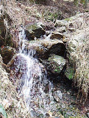 途中、湧水が結構あり、滝のようになっています。
京都側には、雫谷しかめぼしいわき水はありませんが、滋賀県側には
結構あるようです。

