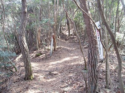 音羽山山頂とパノラマ台への一つ目の分岐です。
ここを右に上り、東海自然歩道に合流します。
左にいっても、その先で東海自然歩道に合流するので、パノラマ台へ行けます。

