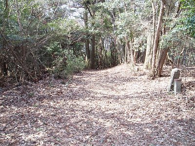 石の道標を右に行くと千頭岳。
今回は、まっすぐに進み、大平山へ。


