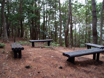 こんなベンチが多く設置されています。
真中に大きなテーブルを置いてもらえたら、
パーティーができそうです。

