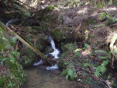 しばらくは川に沿って進みます。
水の流れる音が心地い山道になっています。

