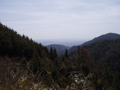 京見峠から山に入ったところで、２か所ほど開いています。
京都がよく見えます。

