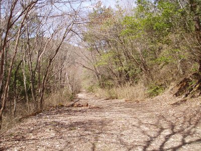 沢の池の周囲の道路はこんな感じで、歩きやすいです。

