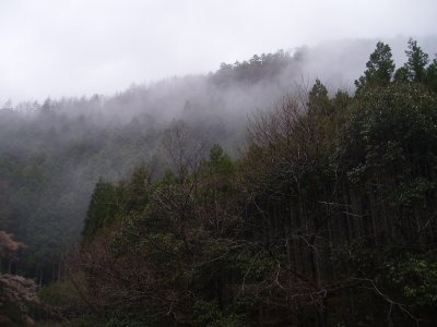 道標 91の手前の写真。
朝方に雨が降ったので、山の上がガスってます。
市街地から少し入っただけなのに、深山って感じですか。

