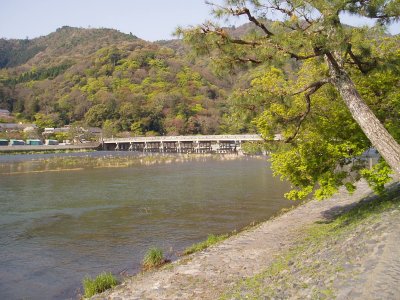 渡月橋です。
先週と比べて桜が散ってしまいました。
次は、紅葉の季節がきれいそうです。

