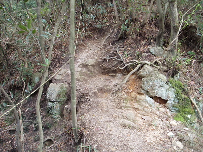 2010/04/24 11:12:37 登山道