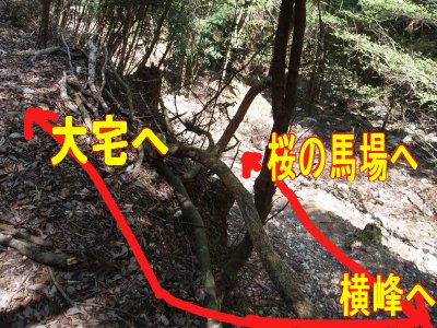  
大宅へ分岐です。
気をつけないと見逃すかもしれません。 