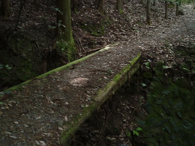 荒れた山道か想像していましたが、橋などが整備されており、歩きやすい道です。
