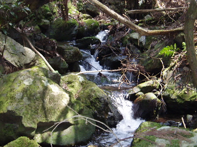 山道の横はこの様な川が流れており、ハイキングコースとは趣きが違います。