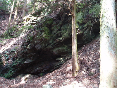 岩がダイナミックで、足元ばかりでなく周りを見る楽しみがあります。これらの岩のどれかが「天狗の爪砥ぎ岩」なんでしょう