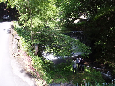 川床にはまだ早いですが、結構観光客の方々がおられ、貴船川などを散策されていました。