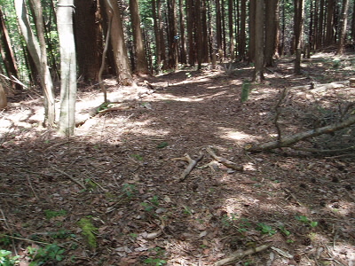 芹生峠から急な道を登ったところです。
この写真は登ってきた道を写したのですが、
急なイメージが全く伝わっていない。
しんどいので取りなおしなしということで