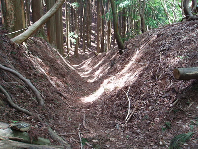 滝谷峠から直谷への道。