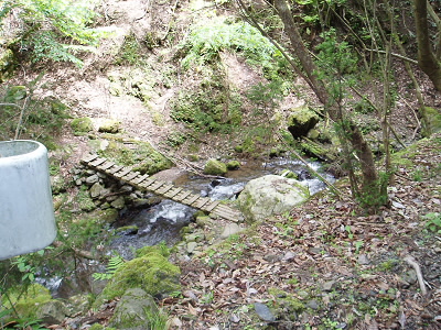 林道のカードレールが途切れたところを下った橋が樋の水谷入り口です。
実は気付かずに行き過ぎ、またまたＧＰＳに助けられました。
